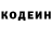 Кодеин Purple Drank ErcieZ 40