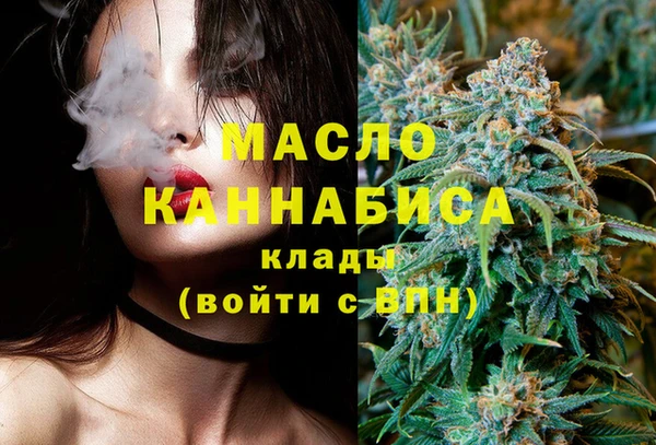 молекула духа Бородино