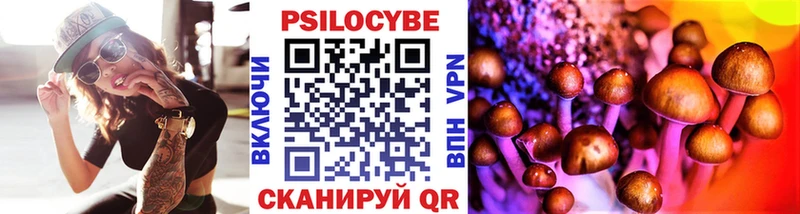 Купить где  Урус-Мартан  Галлюциногенные грибы MAGIC MUSHROOMS 